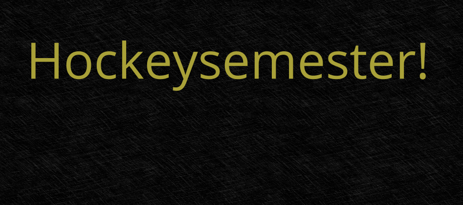 Hockeysemester i juli bildtext